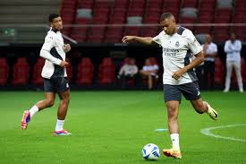 马的稳定性 马的稳定性